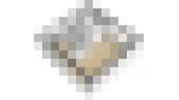 Ringlaan 39 Breskens thumbnail 39