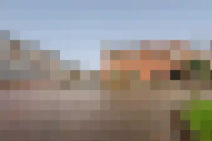 Ringlaan 39 Breskens thumbnail 4