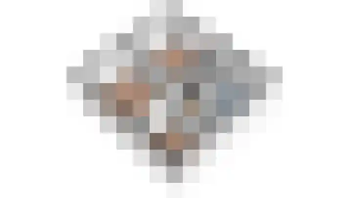 Ringlaan 39 Breskens thumbnail 41
