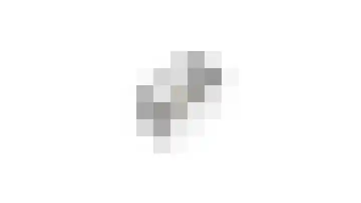Ringlaan 39 Breskens thumbnail 44