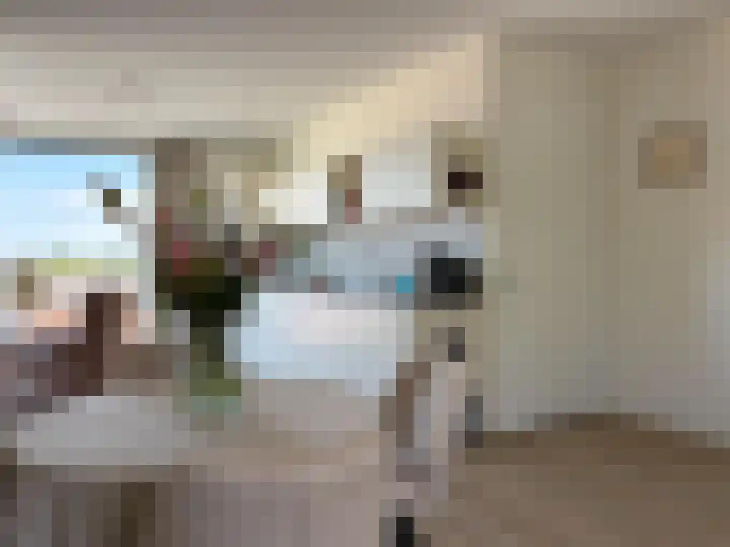 Ringlaan 4 A 306 Breskens thumbnail 10