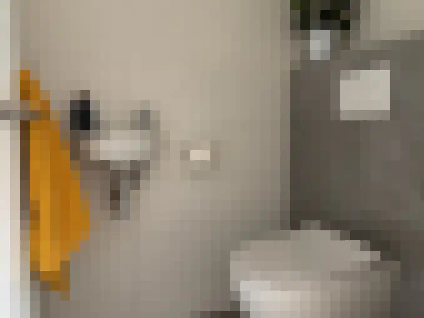 Ringlaan 4 A 306 Breskens thumbnail 22