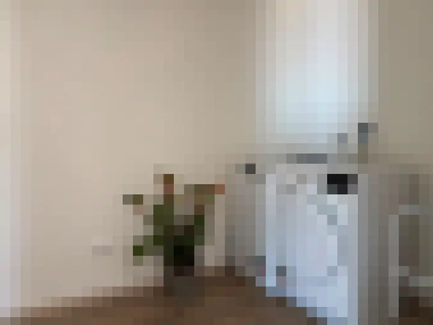 Ringlaan 4 A 306 Breskens thumbnail 23