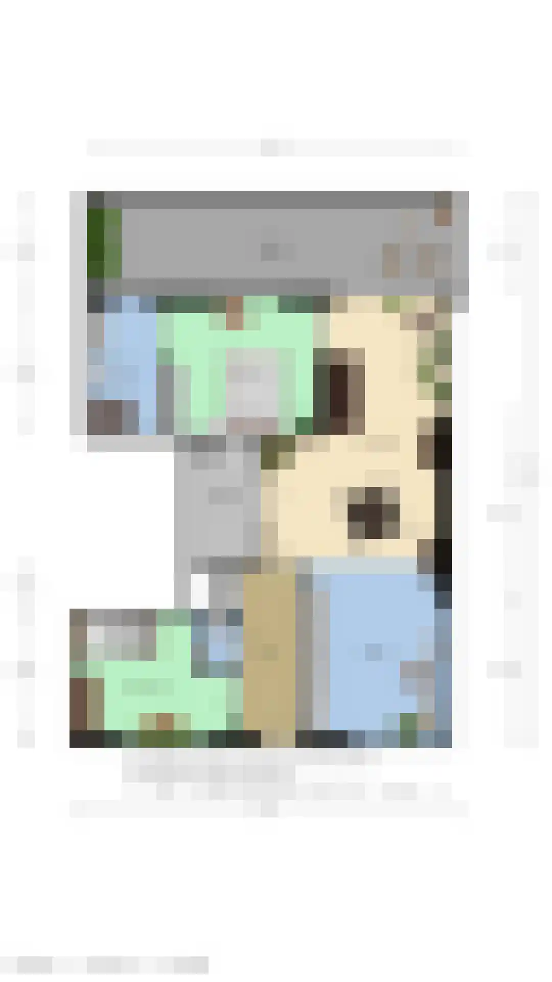Ringlaan 4 A 306 Breskens thumbnail 24