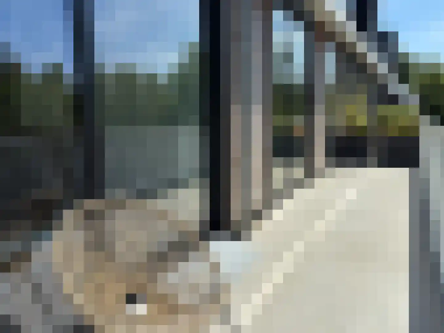Ringlaan 4 A 306 Breskens thumbnail 26