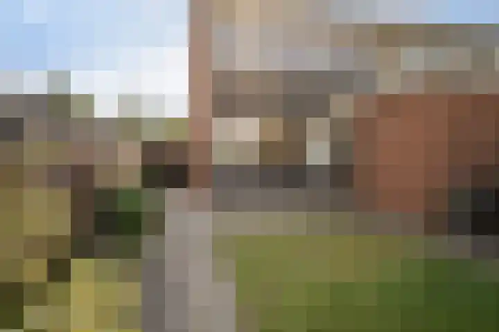 Ringlaan 42 Nieuw-Amsterdam thumbnail 31
