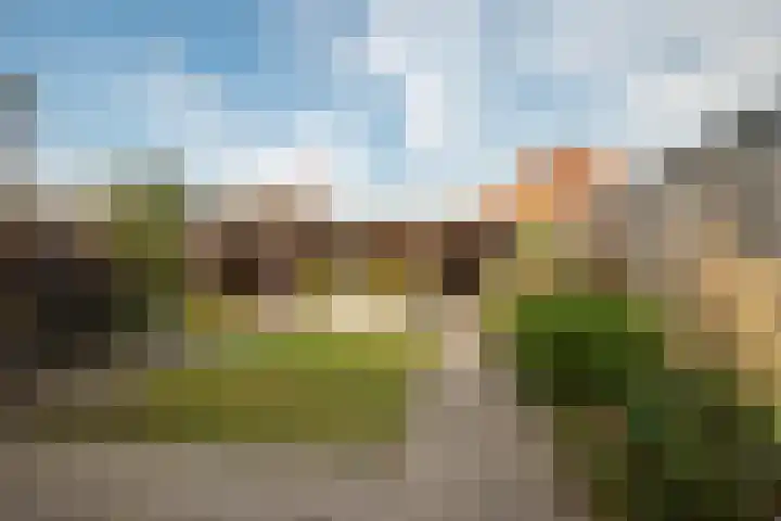 Ringlaan 42 Nieuw-Amsterdam thumbnail 32