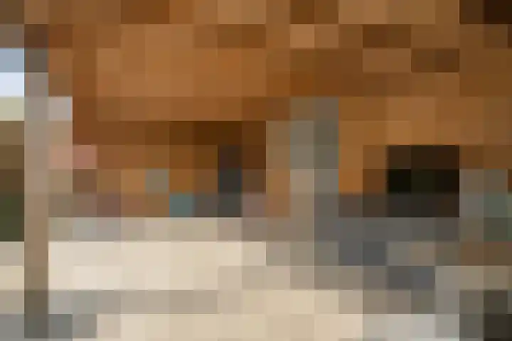 Ringlaan 42 Nieuw-Amsterdam thumbnail 33