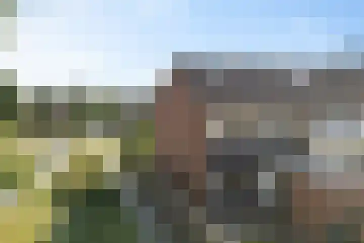 Ringlaan 42 Nieuw-Amsterdam thumbnail 39