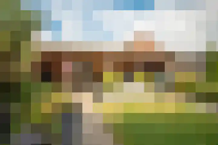 Ringlaan 42 Nieuw-Amsterdam thumbnail 4