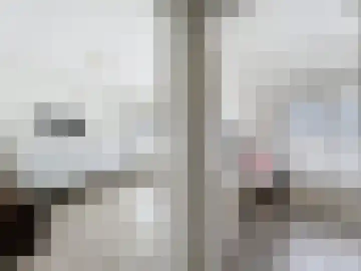 Ringlaan 51 Breskens thumbnail 10