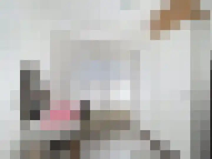 Ringlaan 51 Breskens thumbnail 12