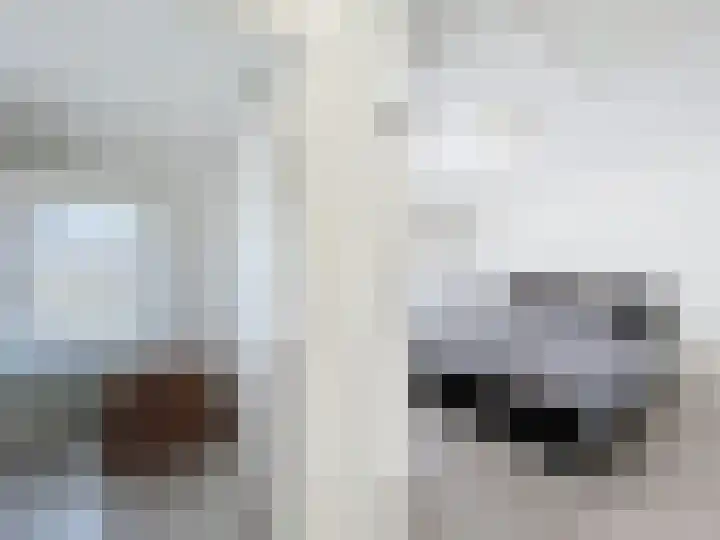 Ringlaan 51 Breskens thumbnail 13