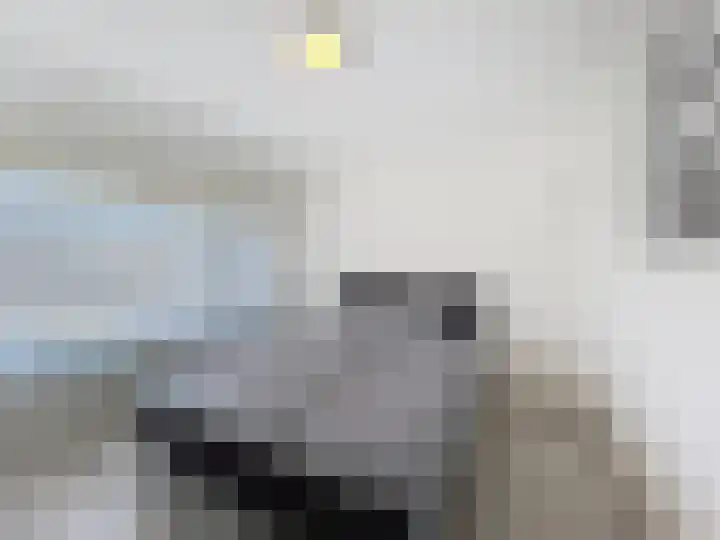 Ringlaan 51 Breskens thumbnail 14