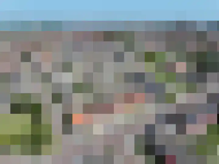 Ringlaan 51 Breskens thumbnail 19