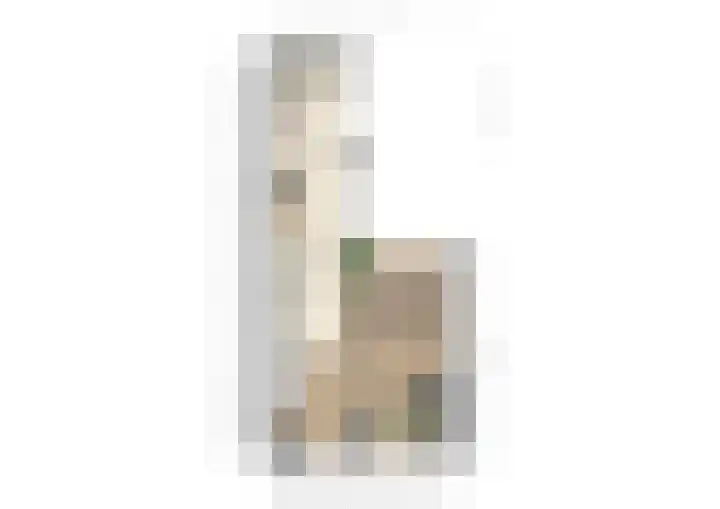 Ringlaan 51 Breskens thumbnail 20