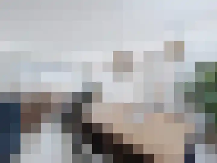 Ringlaan 51 Breskens thumbnail 4