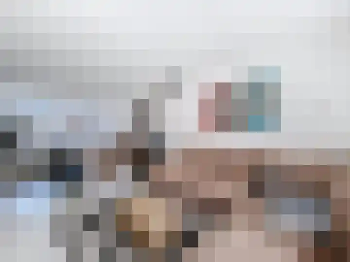 Ringlaan 51 Breskens thumbnail 5