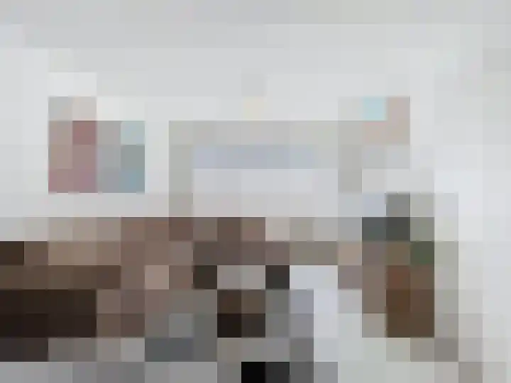 Ringlaan 51 Breskens thumbnail 6