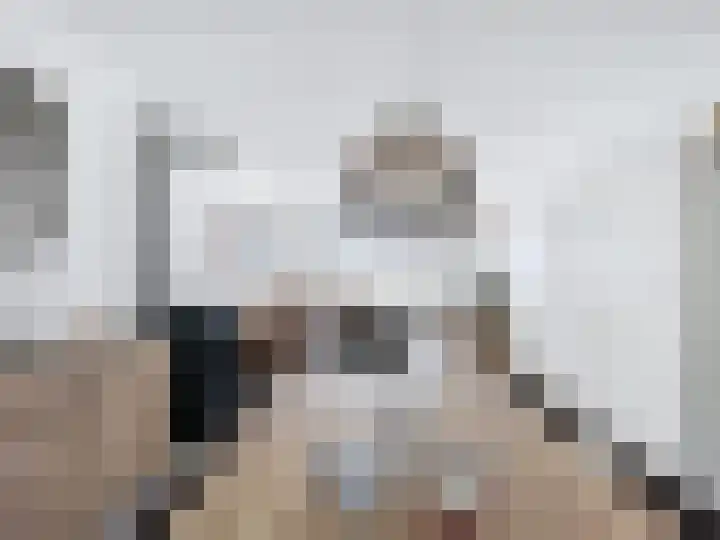 Ringlaan 51 Breskens thumbnail 7