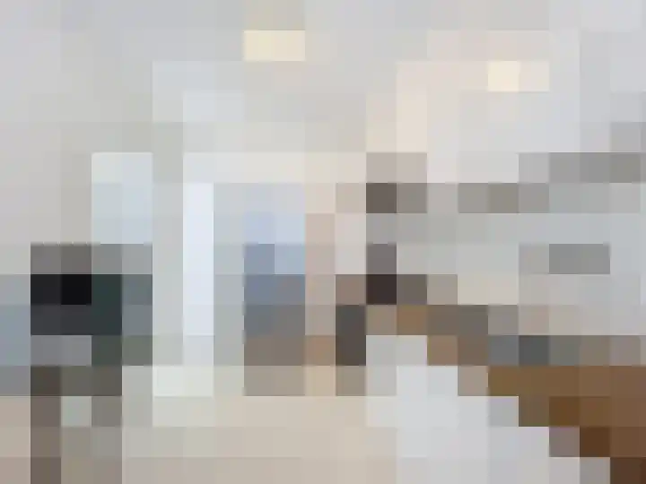 Ringlaan 51 Breskens thumbnail 8