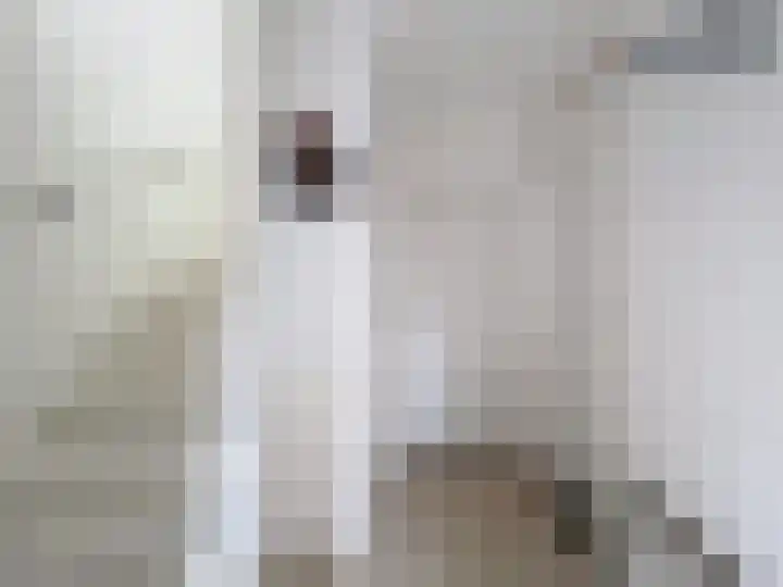 Ringlaan 51 Breskens thumbnail 9