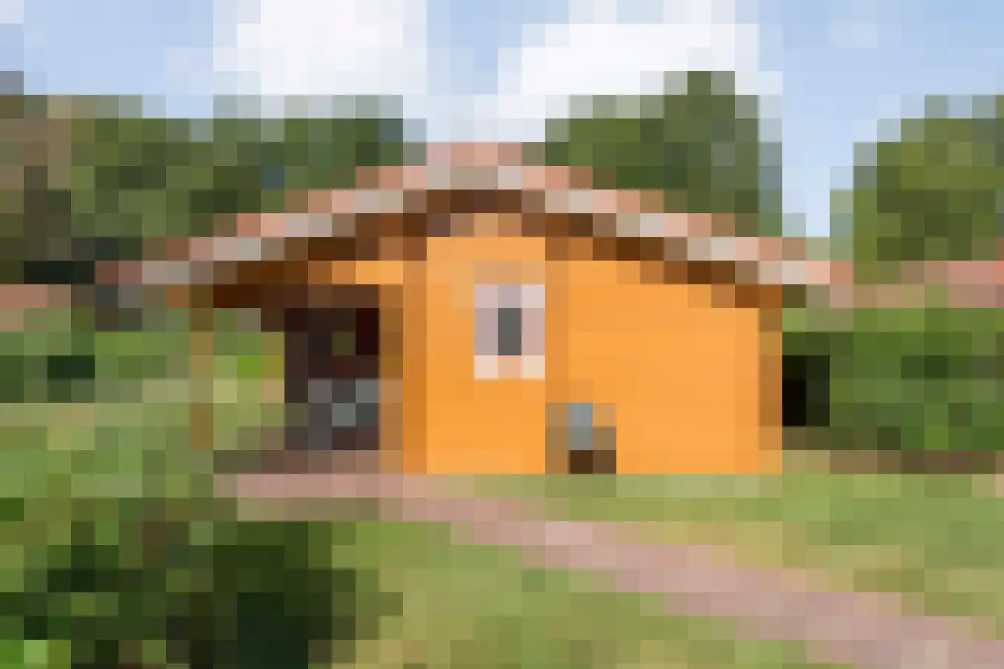 Ringlaan 64 Eerbeek thumbnail 14