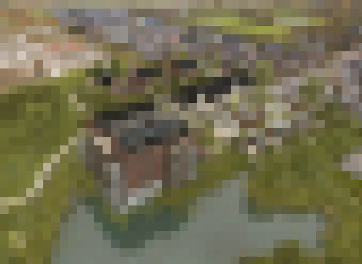 Ringlaan 64 Eerbeek thumbnail 19