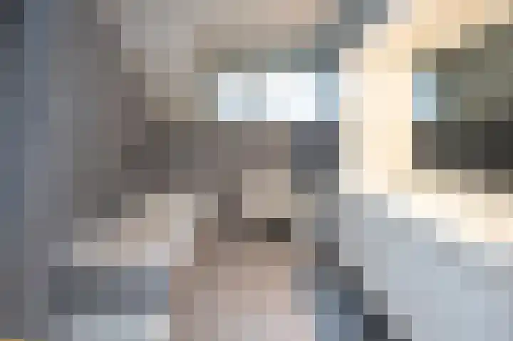 Ringlaan 64 Eerbeek thumbnail 24