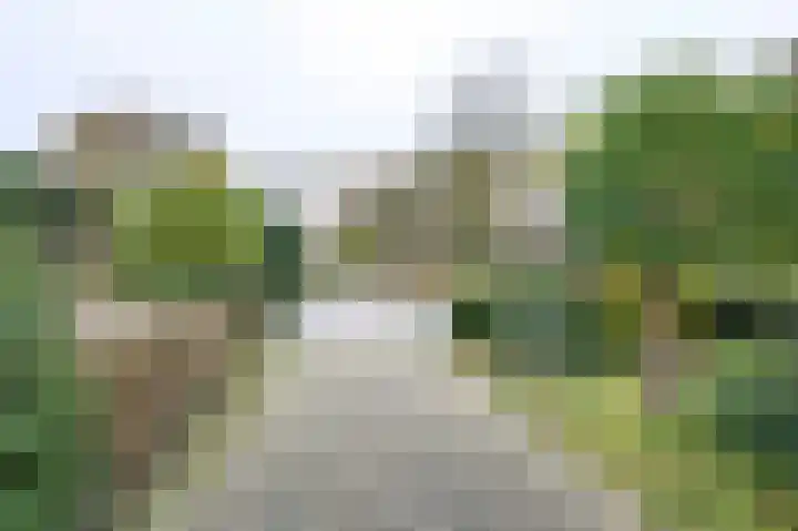 Ringlaan 64 Eerbeek thumbnail 27