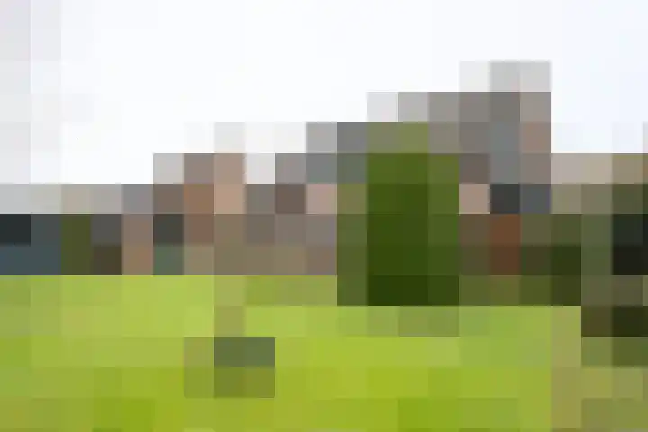 Ringlaan 64 Eerbeek foto 3