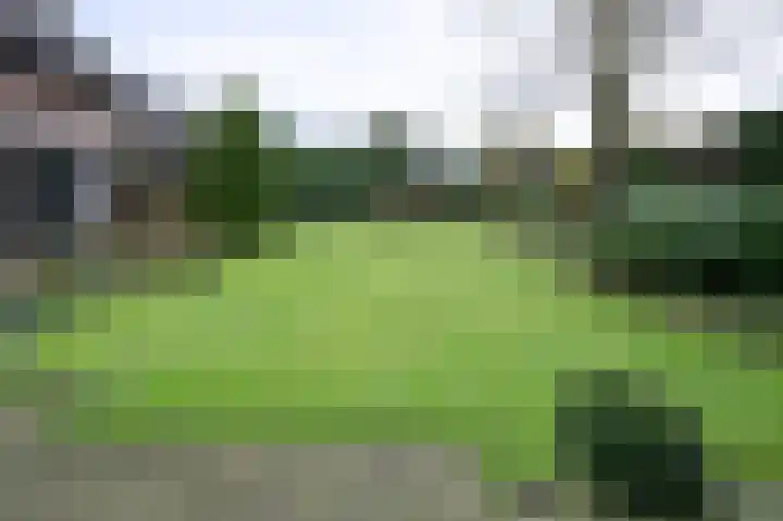 Ringlaan 64 Eerbeek thumbnail 34