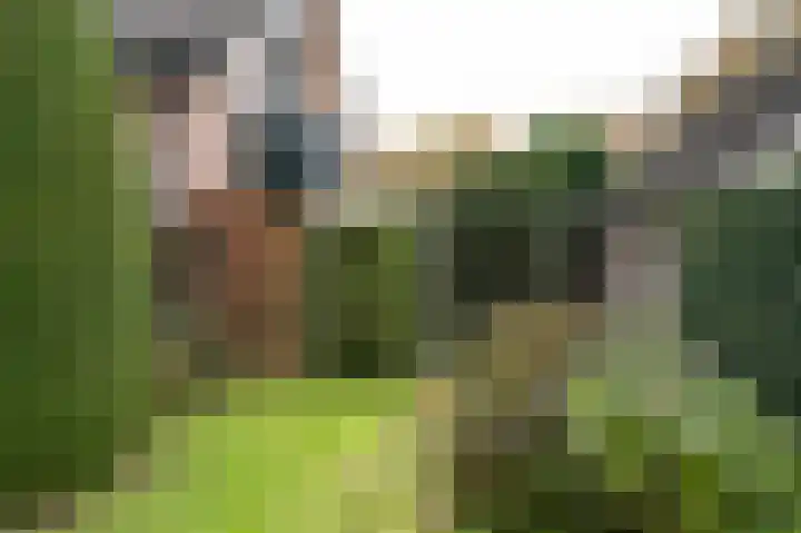 Ringlaan 64 Eerbeek thumbnail 36