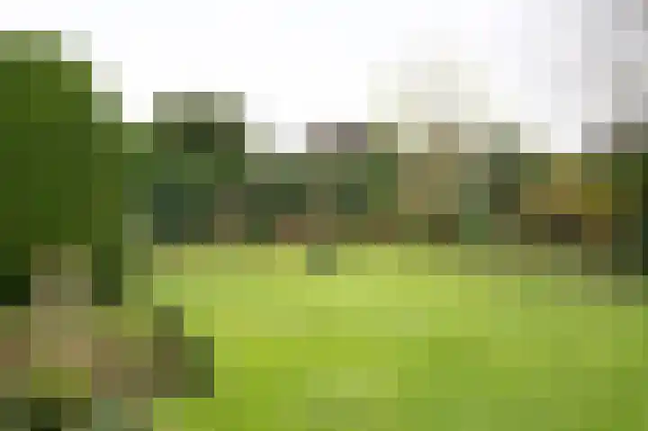 Ringlaan 64 Eerbeek thumbnail 4