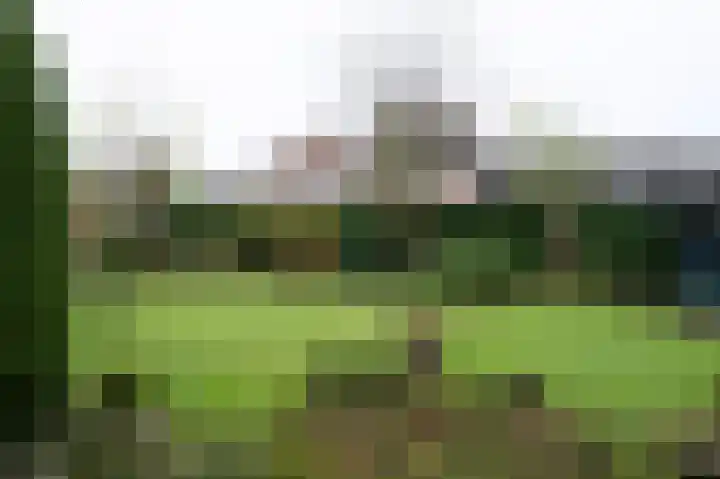 Ringlaan 64 Eerbeek thumbnail 5