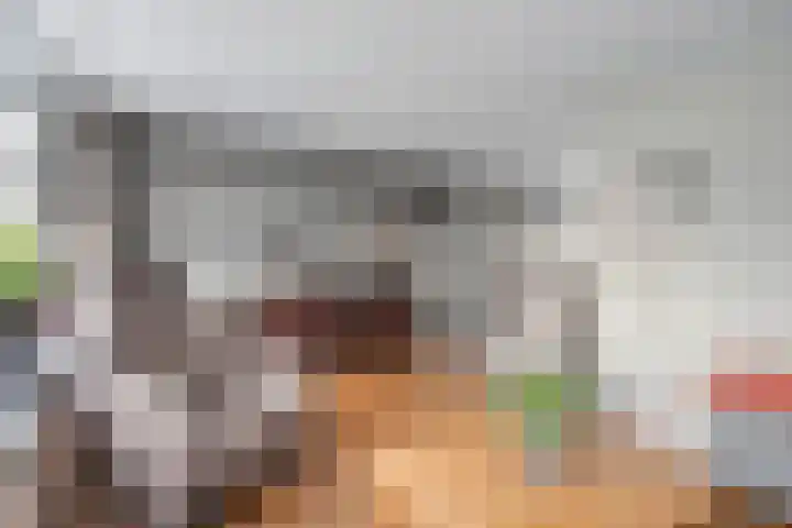 Ringmus 1 IJsselmuiden thumbnail 10