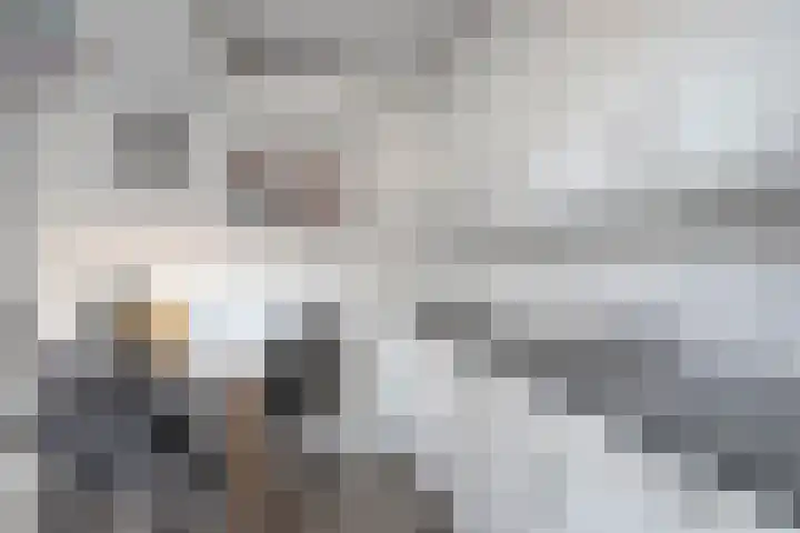 Ringmus 1 IJsselmuiden thumbnail 14