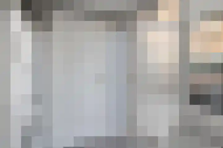 Ringmus 1 IJsselmuiden thumbnail 16