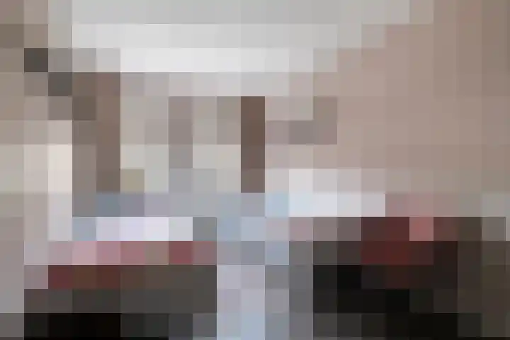 Ringmus 1 IJsselmuiden thumbnail 23