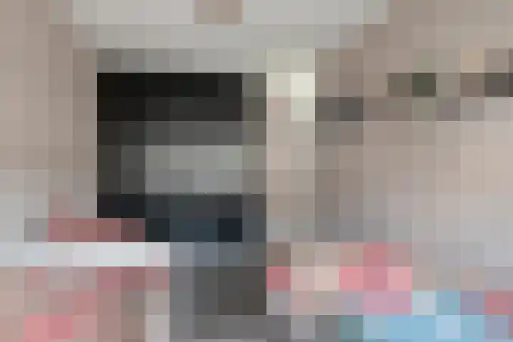 Ringmus 1 IJsselmuiden thumbnail 24