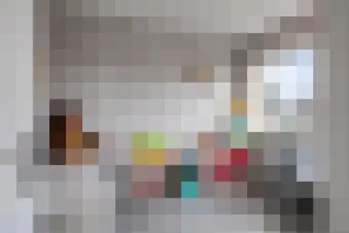 Ringmus 1 IJsselmuiden thumbnail 29