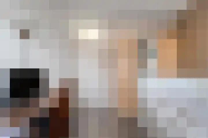 Ringmus 1 IJsselmuiden thumbnail 32