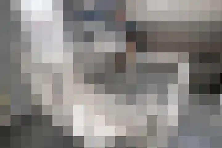 Ringmus 1 IJsselmuiden thumbnail 33