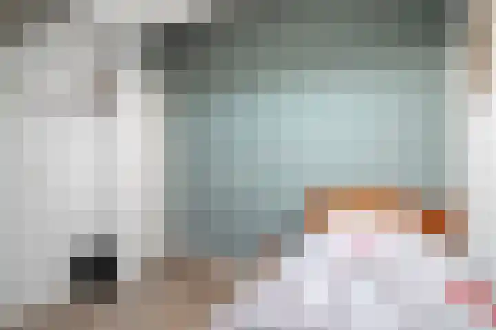 Ringmus 1 IJsselmuiden thumbnail 37
