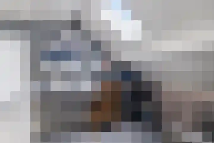 Ringmus 1 IJsselmuiden thumbnail 39