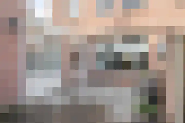 Ringmus 1 IJsselmuiden thumbnail 40