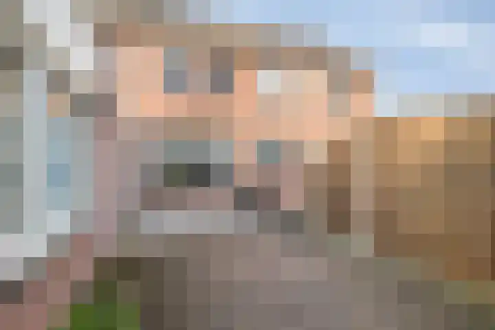 Ringmus 1 IJsselmuiden thumbnail 41
