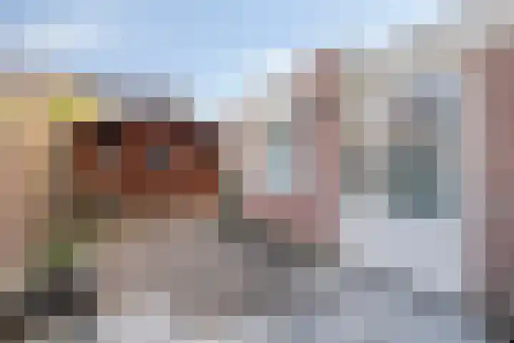 Ringmus 1 IJsselmuiden thumbnail 42
