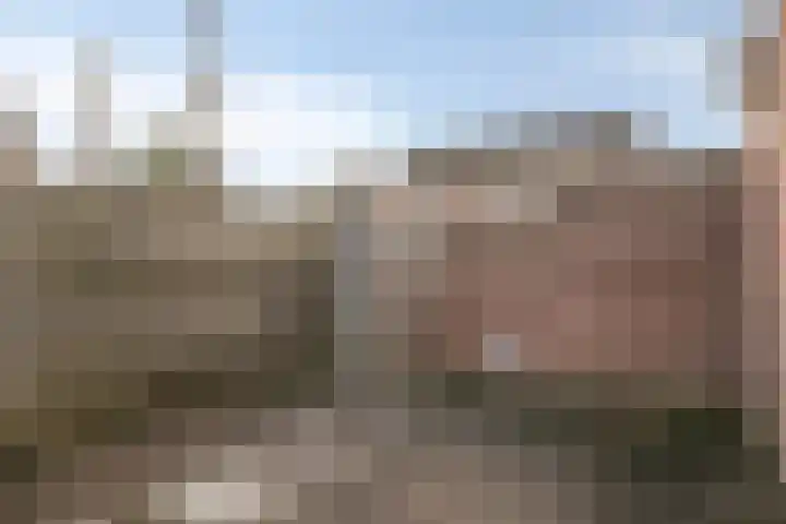 Ringmus 1 IJsselmuiden thumbnail 43