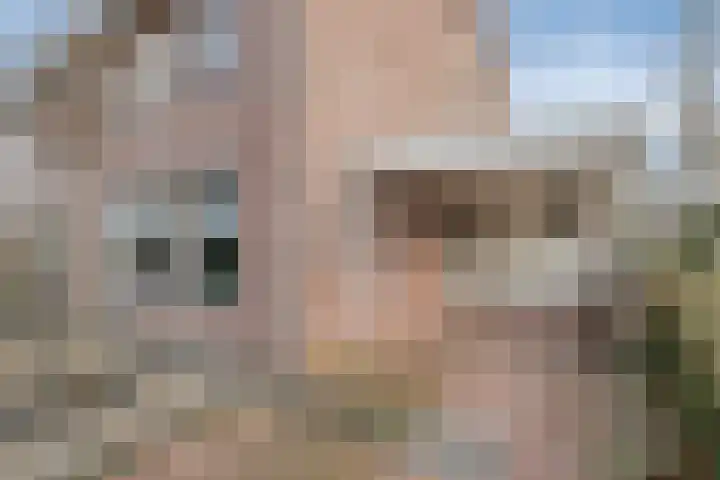 Ringmus 1 IJsselmuiden thumbnail 44